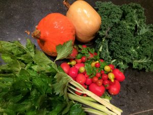 permaculture-recolte-production-buternut-potimarron-legumes automne