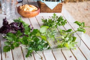 potager-permaculture-plantes potagères-association-aromatiques-cuisine