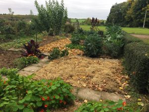 potager-permaculture-paillis-foin-couvert vegetal-compost-hivernage