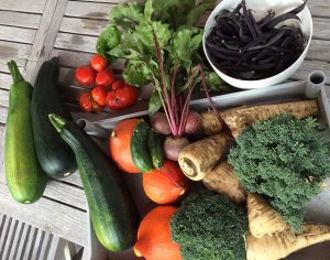 permaculture-recolte-production-courgette-panais-tomate-haricot-brocoli-kale