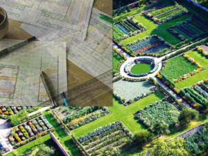 potager-permaculture-design-plan-planifier-plan plantation-espace potager