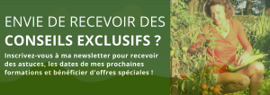 montjardin-permaculture-potager-conseils-coaching-formation