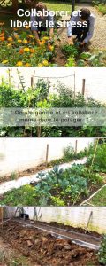 montjardin-permaculture-potager-realisation-plan-design-embellir jardin-aménager potager-potager entreprise-incentive-teambuilding