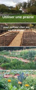 montjardin-permaculture-potager-realisation-plan-design-embellir jardin-aménager potager