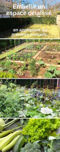 montjardin-permaculture-potager-realisation-plan-design-embellir jardin-aménager potager