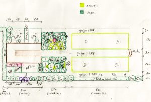 montjardin-permaculture-potager-realisation-plan-design-embellir jardin-aménager potager-plan plantation-contenu potager-diversifier contenu