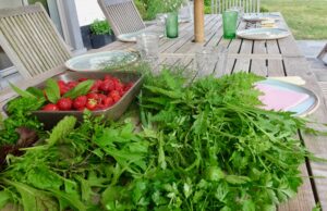 jardin potager-permaculture-recoltes-cuisine-recette-legumes du potager-fraises