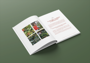 Montjardin-stephanie-de-theux-livre-permaculture-association-conseils-concept-methode-illustrations-regard sur le potager-saveurs-couleurs