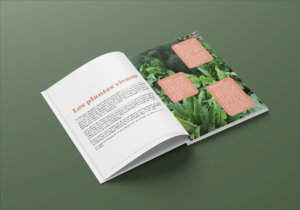Montjardin-stephanie-de-theux-livre-permaculture-association-conseils-concept-methode-illustrations-regard sur le potager-saveurs-couleurs-vivace