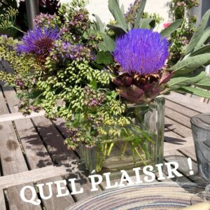 permaculture-association-potager-plaisirs-couleurs-saveurs-bouquet-artichaut-sauge-origan-fenouil